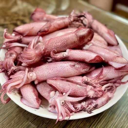 北海熟煮鱿鱼 小海免，规格3/5  5/7、欢迎咨询