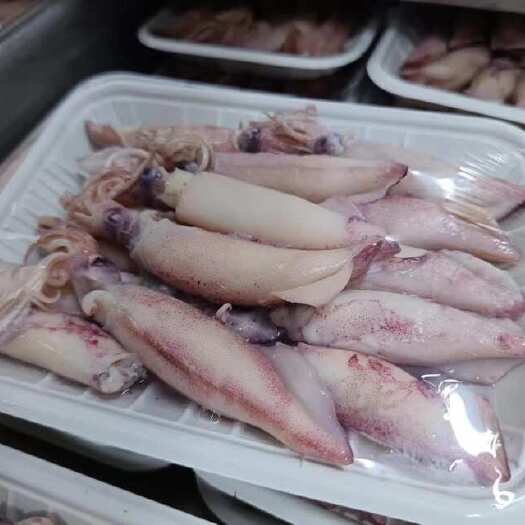 北海膏鱿  海兔 带膏鱿鱼 个个泡满 香煎味道很好