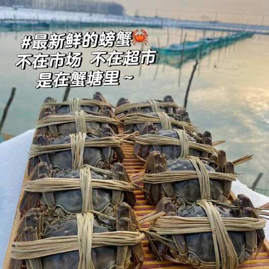  大闸蟹