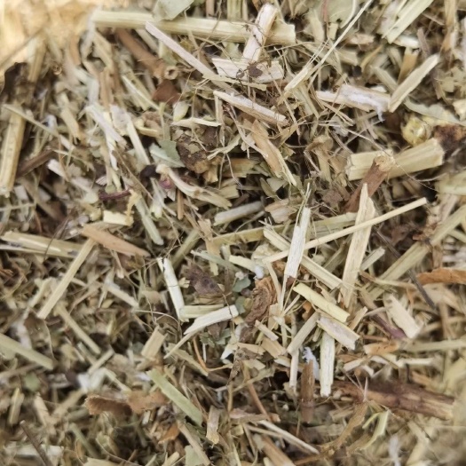 宁陵县花生秧