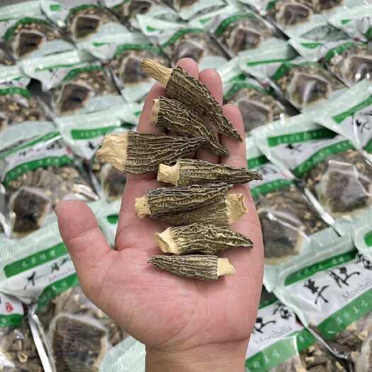 佛山羊肚菌4-6公分