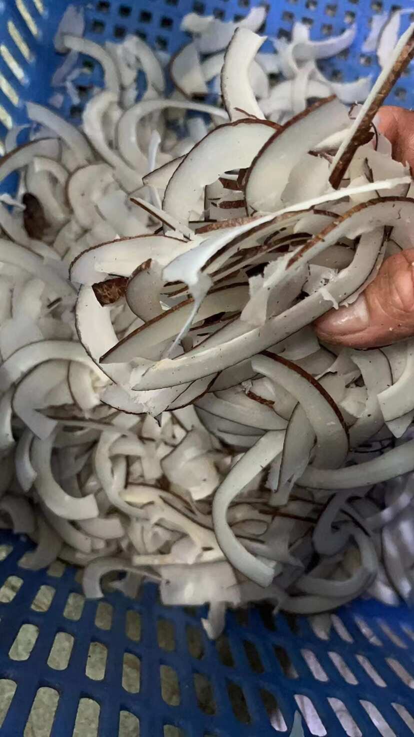印度椰皇切片一斤装，椰子鸡汤料，大量批发，物美价廉