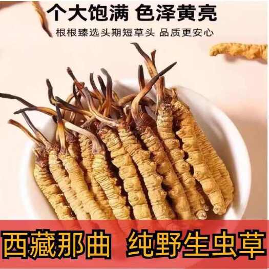 比如县西藏那曲冬虫夏草2根一克 品质保障 货到满意付款