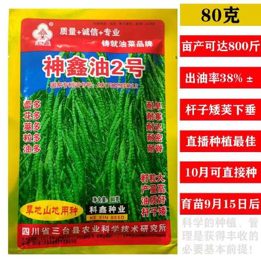 宿迁旱地山地坡地油菜种子神鑫油2号油菜籽种子矮杆耐迟播油菜籽种子