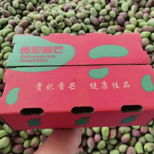 广西芒果，小贵妃，落地配、社区团购 ，电商平台整车发货。