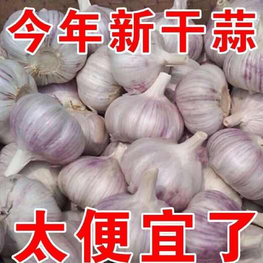 干果大蒜，紫皮，耐储存