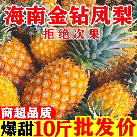 海口【超甜】现摘海南金钻凤梨新鲜应季水果手撕无眼大菠萝一整箱批发