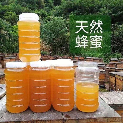 昆明云南纯正野生石斛兰蜂蜜波美度 42 原始森林野生蜜野蜂蜜