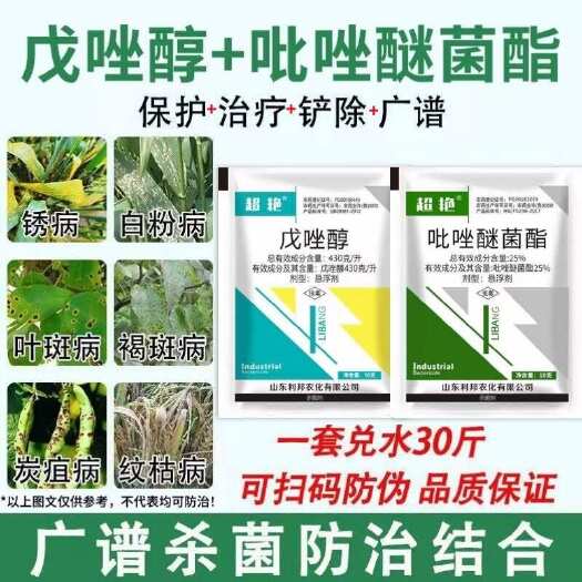 陆丰市戊唑醇吡唑醚菌酯锈病专用叶斑病纹枯病小麦玉米水稻大蒜杀菌剂