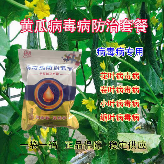 滑县黄瓜病毒病防治套餐花叶病毒病小叶病毒病卷叶病毒病缩叶病毒病