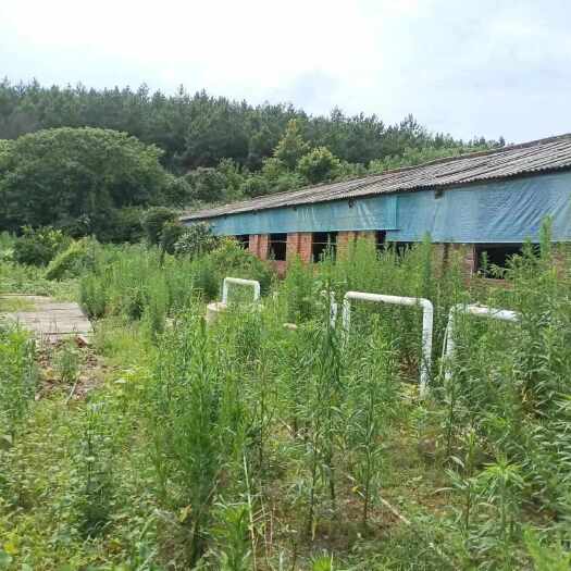 湖南衡阳地区   养殖场   村集体资源出租