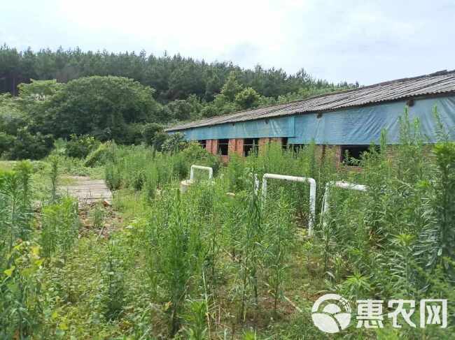 湖南衡阳地区   养殖场   村集体资源出租