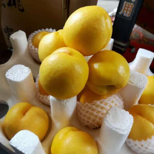 蒙阴县黄金油桃