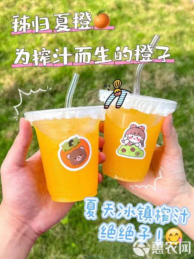 「夏橙」秭归脐橙之夏橙单品，历经春夏秋冬夏五季，独特的橙味儿