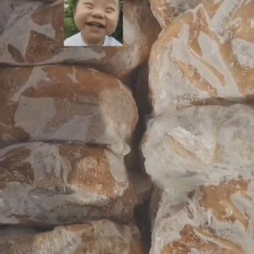 长沙熟大肚