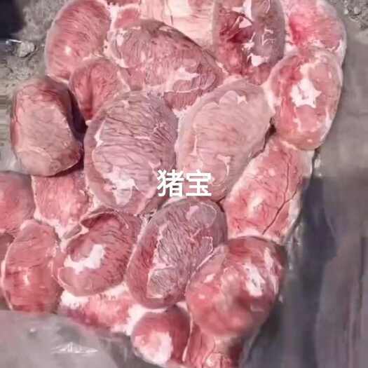 临沂猪宝