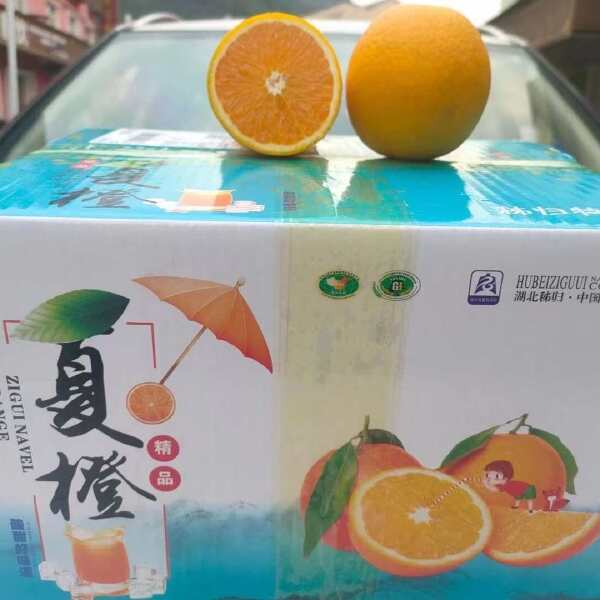 「夏橙」秭归脐橙之夏橙单品，历经春夏秋冬夏五季，独特的橙味儿