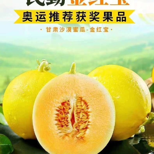 甘肃民勤,金红宝蜜瓜,黄河蜜蜜瓜,电商一件代发