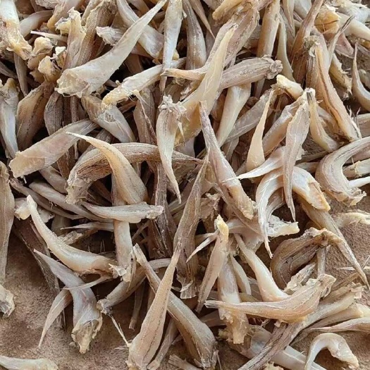 沙丁鱼 展会 地摊 电商 深海沙丁鱼干 沙甲鱼干 干鱼 鱼干