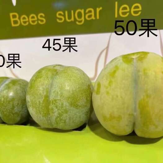 镇宁县蜂糖李下果了