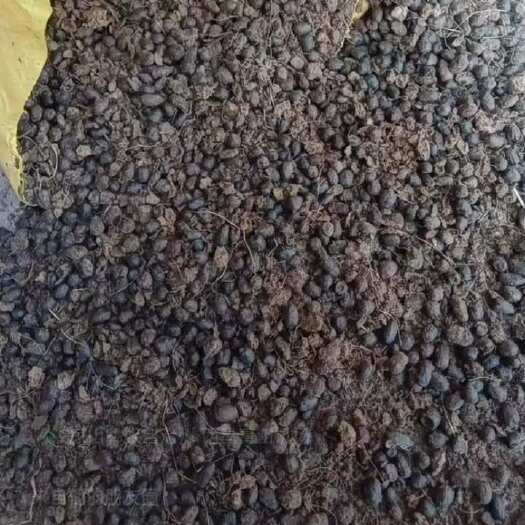 若尔盖县高原地区羊粪，可随时发货