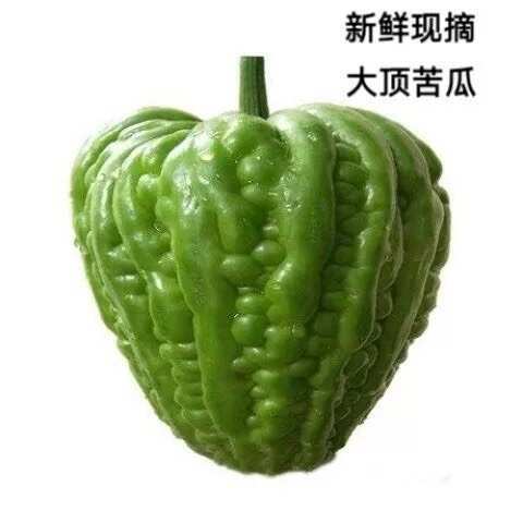 广州广东特产杜阮凉瓜松脆无渣粤菜刺身
