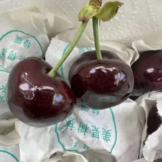 汉源县黑珍珠樱桃 四川汉源套袋黑珍珠车厘子一件代发一箱4斤定价为4