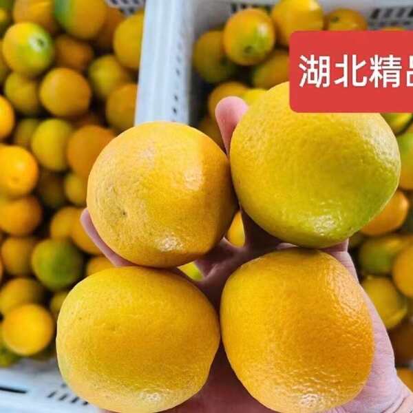 「夏橙」秭归脐橙之夏橙单品，历经春夏秋冬夏五季，独特的橙味儿