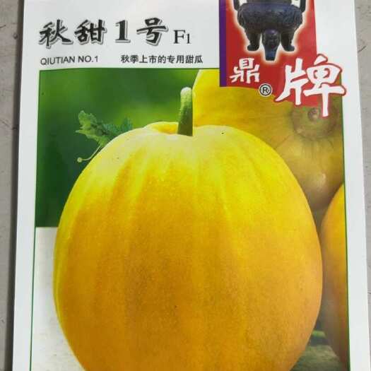 武汉长江流域夏秋季种植的甜瓜丑八怪类型