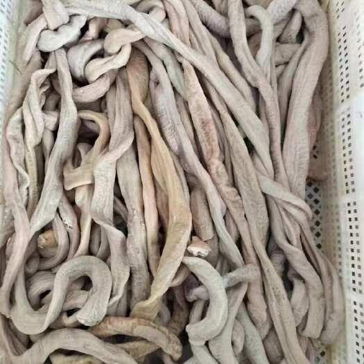 汕头飞水牛小肠「高出成」新鲜干净，少油中油满油可选