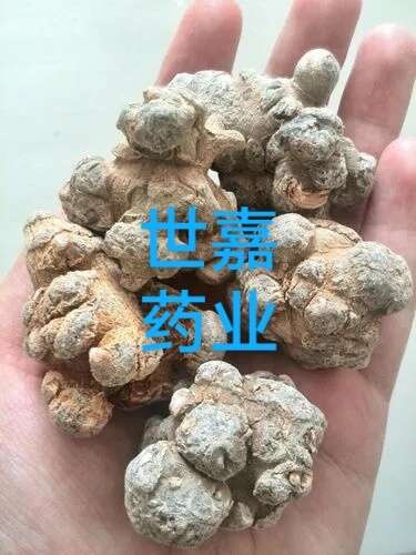 安国市三七 水洗三七35头 云南文山产 水洗不打蜡