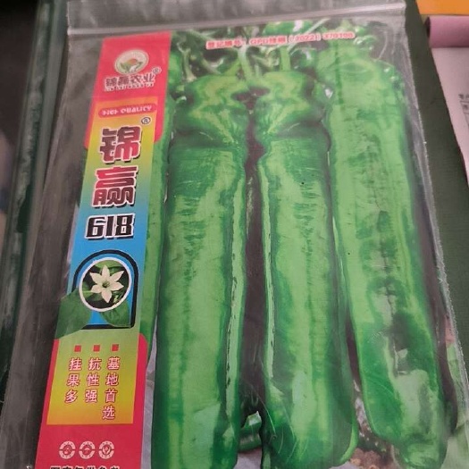 夏邑县早熟，大果粗长牛角椒，22~35厘米，抗病性强。商品性好