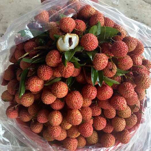 深圳桂味