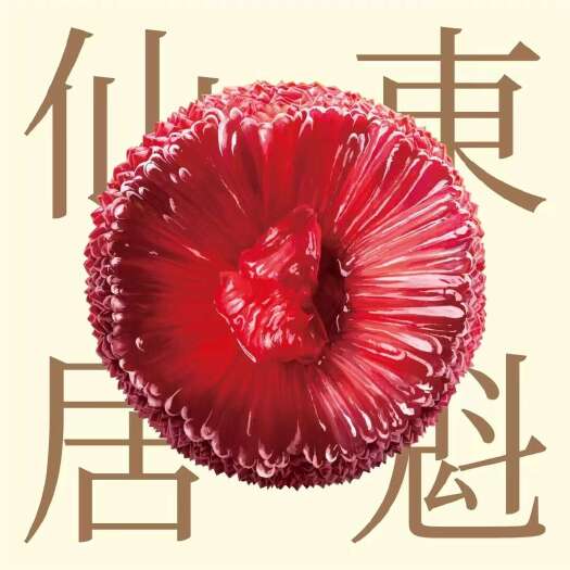 仙居县仙居东魁杨梅个大味甜，产地直发，现摘现发