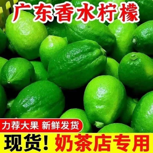 广东香水柠檬商用浓香皮薄多汁新鲜果无籽奶茶店手打柠檬茶现摘