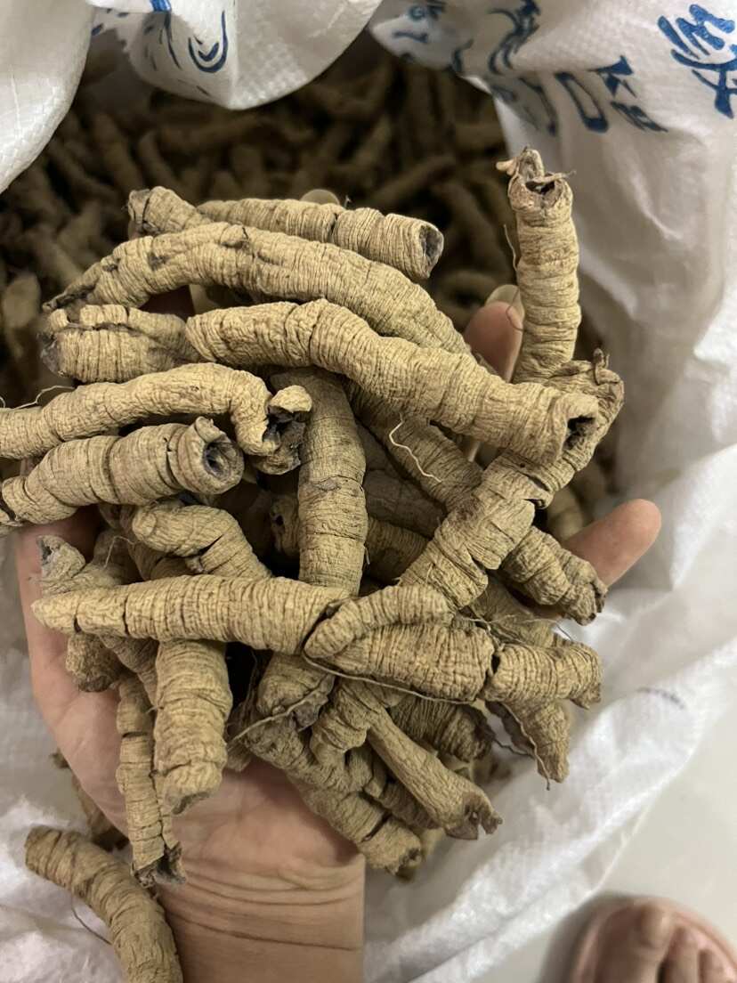 巴戟天生晒无硫熏紫肉巴戟天煲汤泡酒中药材