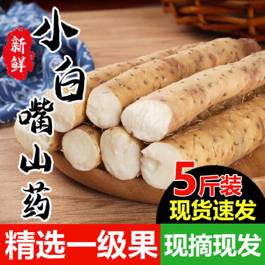 小白嘴山药，铁棍山药，双棒山药，产地直供，可水洗加工分拣包装