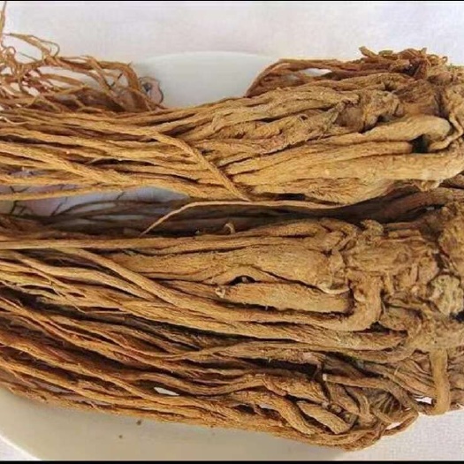 临洮县有硫当归条/黄当归条