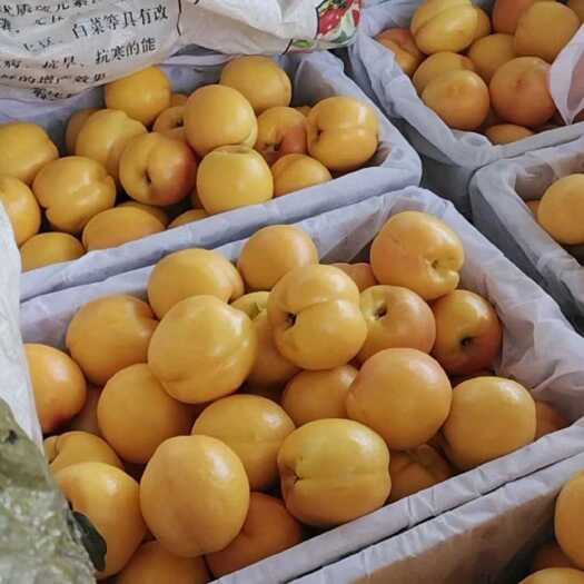 夏县黄金蜜桃