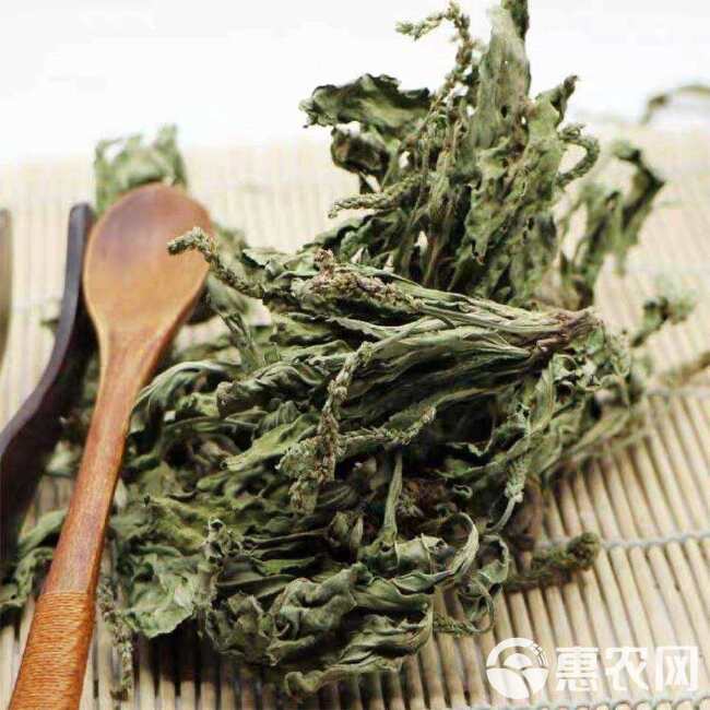 秦岭车前草泡茶秦岭干车前草当年干货车前草干车前车前籽茶泡