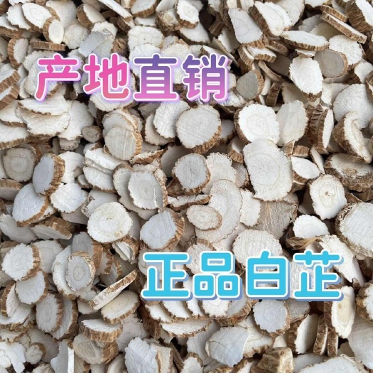 菏泽中药材白芷根茎山东菏泽牡丹区现货行货 白芷批发零售