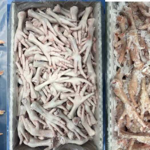 深圳鸡副产品
