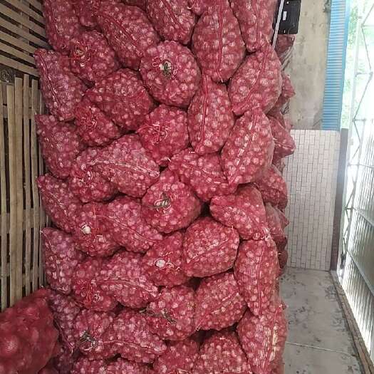 深州市大蒜