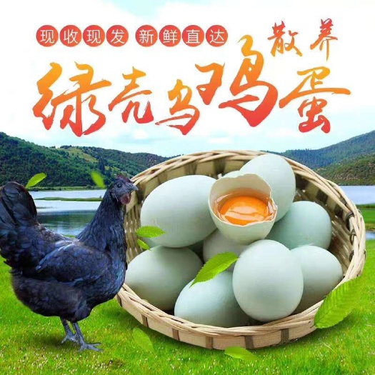 玉林土鸡蛋绿壳鸡蛋乌鸡蛋