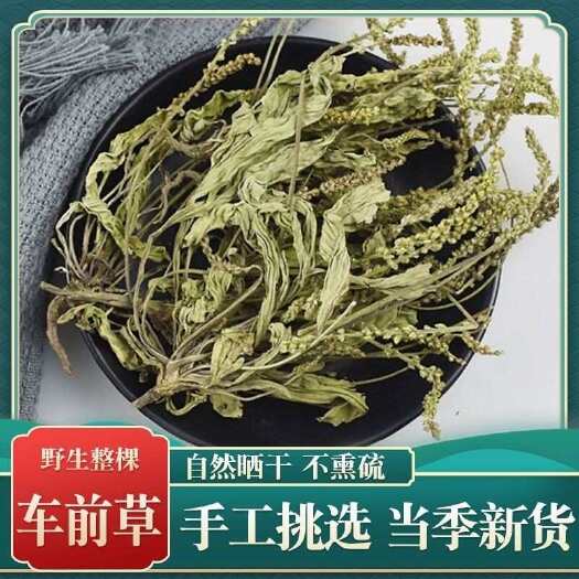 秦岭车前草泡茶秦岭干车前草当年干货车前草干车前车前籽茶泡