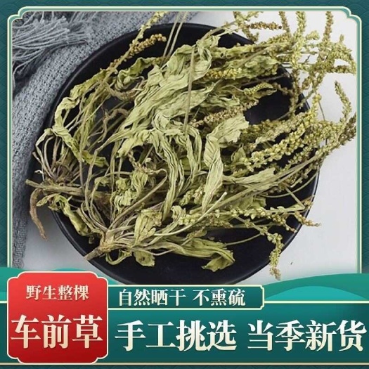 旬阳市秦岭车前草泡茶秦岭干车前草当年干货车前草干车前车前籽茶泡