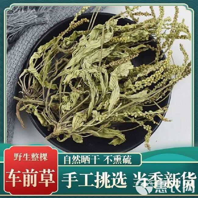 秦岭车前草泡茶秦岭干车前草当年干货车前草干车前车前籽茶泡