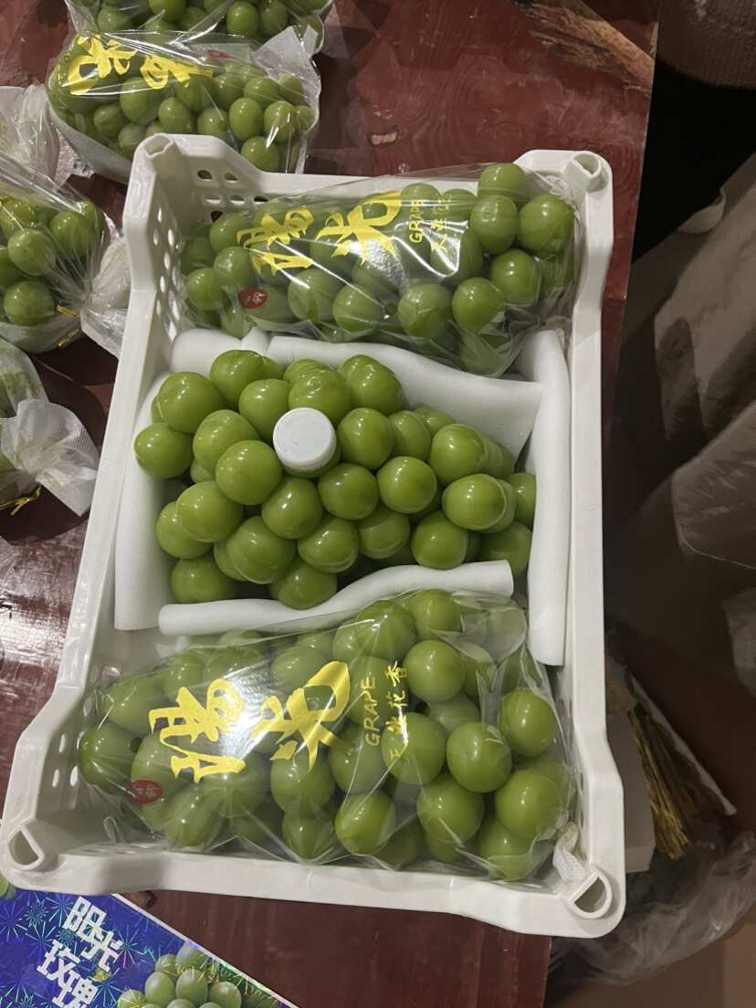 西昌阳光玫瑰葡萄