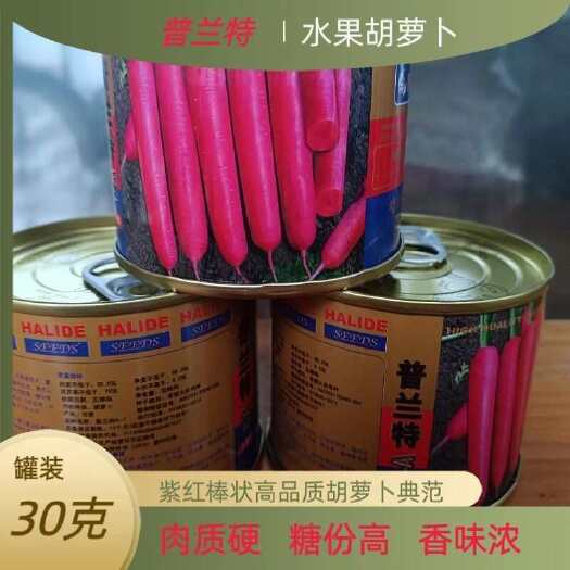 武汉普兰特水果胡萝卜种子高品质紫红棒状质硬味香甜抗病耐贮亩产万斤