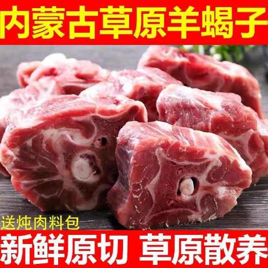 原切新鲜羊蝎子多肉羊肉脊骨脖骨羊骨头火锅食材新鲜羊蝎子批发